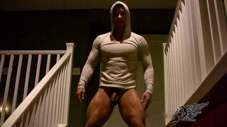 El fuerte toro oriental Peter Le muestra un cuerpo robusto