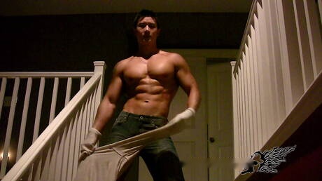 El fuerte toro oriental Peter Le muestra un cuerpo robusto