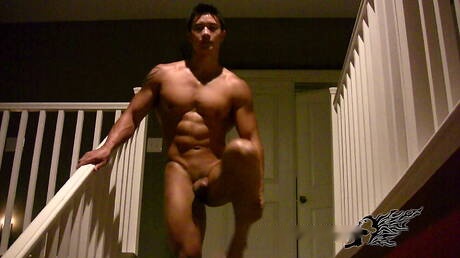 El fuerte toro oriental Peter Le muestra un cuerpo robusto