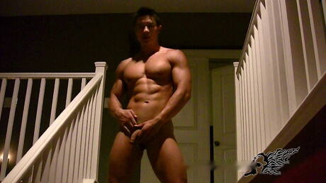 El fuerte toro oriental Peter Le muestra un cuerpo robusto