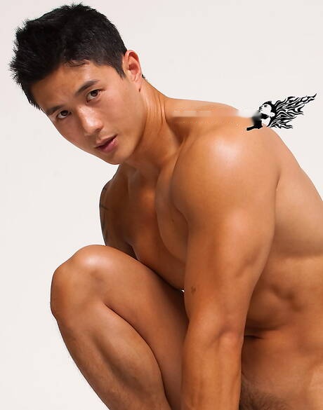 El toro asiático Peter Le muestra un cuerpo robusto