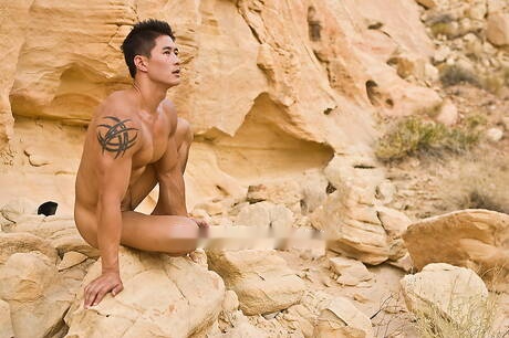 Il toro asiatico Peter Le mostra un corpo muscoloso e forte all