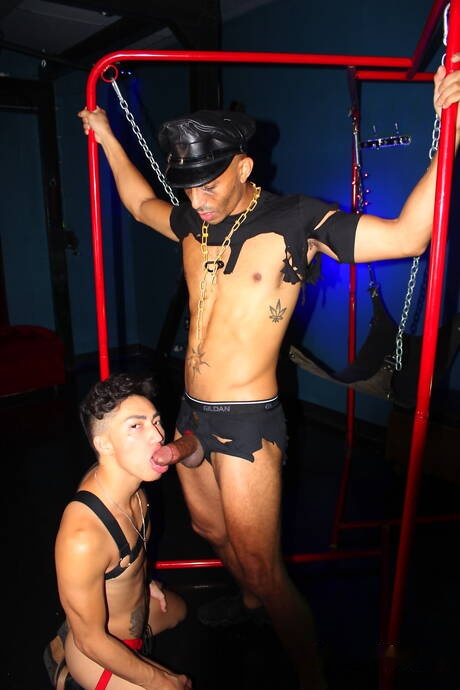 Two american boys hairy stud Zario Travezz and hunky guy David Ace have anal sex