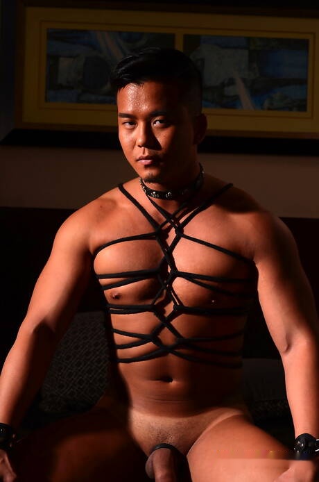 Peter Fever: Pretty american guys muscular Alex Chu and pretty boy Rave Hardick likes to be roped