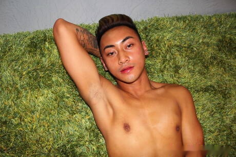 Der asiatische Hengst Jeremy Vuitton neckt seinen Schwanz