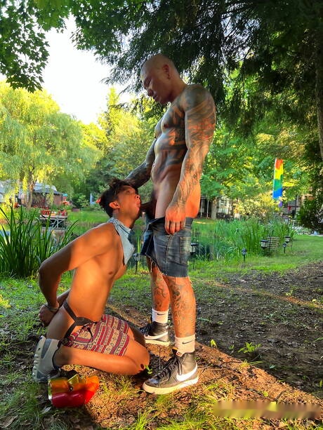 Los chicos estadounidenses calientes Damian Dragon y el chico guapo Levy Foxx tienen una escena de pareja caliente al aire libre