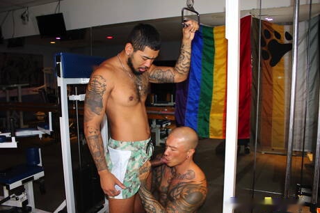 Dos estadounidenses, el supersemental Jon Darra y el fuerte toro Damian Dragon, se follan el culo después de chupar la polla.