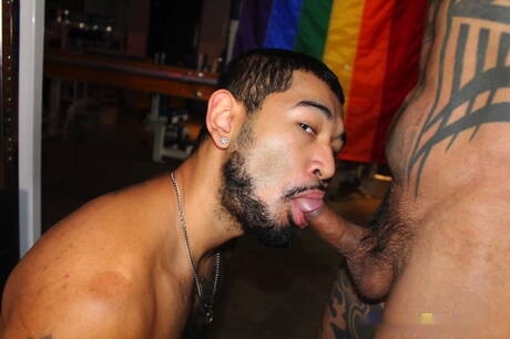 Dos estadounidenses, el supersemental Jon Darra y el fuerte toro Damian Dragon, se follan el culo después de chupar la polla.