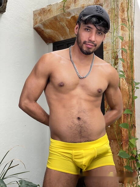 Shameless boys Zed Sheng, Alfonso Osnaya and Abraham Shehell have a good 3some sex outdoor