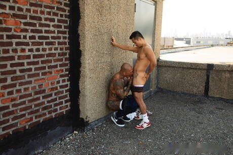 Strongman Tanner Winn and asian bull Damian Dragon fuck after dick sucking outside