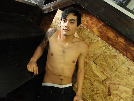 Il muscoloso latino Saint Dillon mostra un corpo meraviglioso