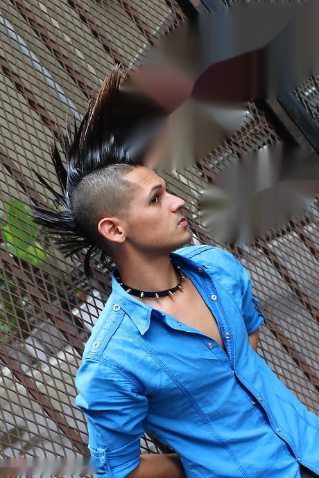 Lo stallone Pink Steal e lo stallone Dannii Devine in una scena di pompino all