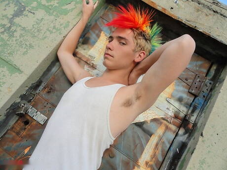 Les jeunes Américains Alec Grey et Josh Bensan dans une scène de fellation à l