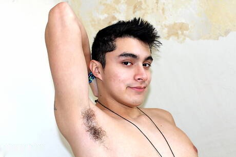 Well-built Lorne Rox and stud Blake Noir fuck ass after sucking cock