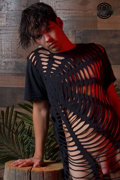 Young Romeo Daniel posing nude