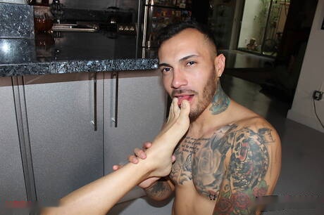 Knappe Amerikanen, superster Matthew Grande en gespierde kerel Tyler Slater maken de liefde in de keuken