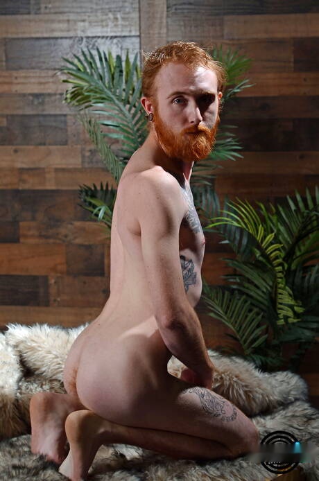 Amerykański gorący młodzieniec Dom Ty drażni swojego kutasa