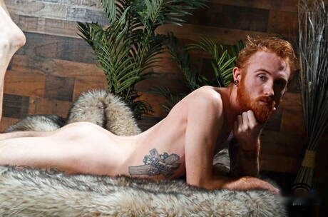 Amerykański gorący młodzieniec Dom Ty drażni swojego kutasa