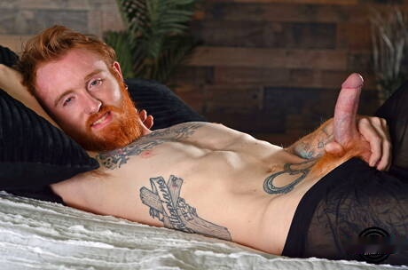 Amerykański gorący młodzieniec Dom Ty drażni swojego kutasa