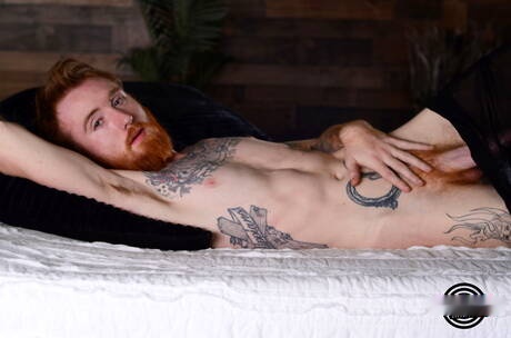 Amerykański gorący młodzieniec Dom Ty drażni swojego kutasa