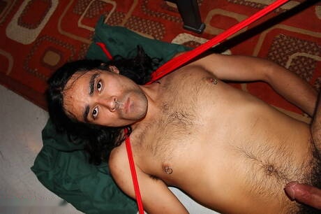 Der attraktive Maxsin Dvil und der Superhengst Johnny Por La Calle bei einer Bondage-Session