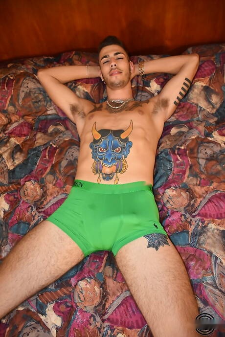 Il bel ragazzo americano Ari Nucci si masturba il cazzo