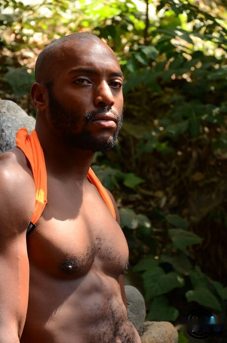 El oriental Cody Hong y el fornido Bren Bradshaw se hacen una paja al aire libre