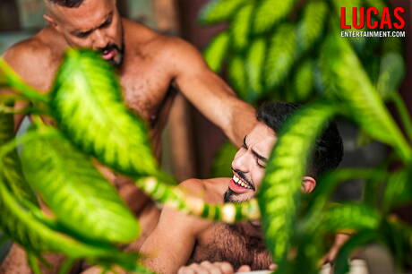 Latino bodybuilder Jacob Lord and argentinian bear Nico Zetta banged each other outside