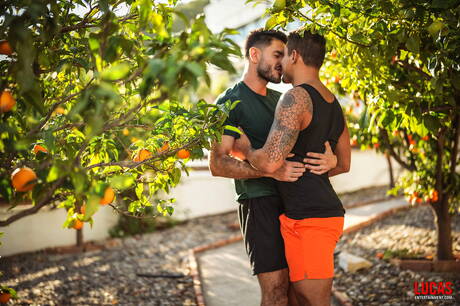 Latin mature bear Nico Zetta and brazilian tough guy Roque Rems have a good anal sex outside