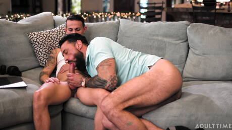 Amerikaanse beer Alpha Wolfe en gespierde Puerto Ricaanse Des Irez zijn dol op elkaar