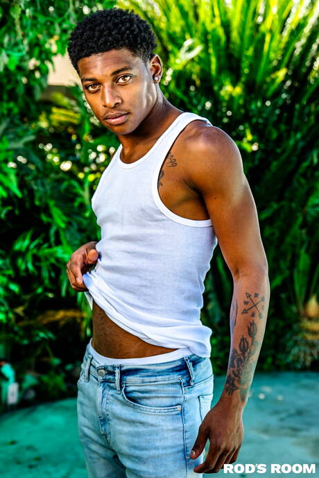 Gorący amerykańscy faceci, dobrze zbudowani Brandon Anderson i ogier Ty Santana pozują nago i pokazują ciasne tyłki na zewnątrz