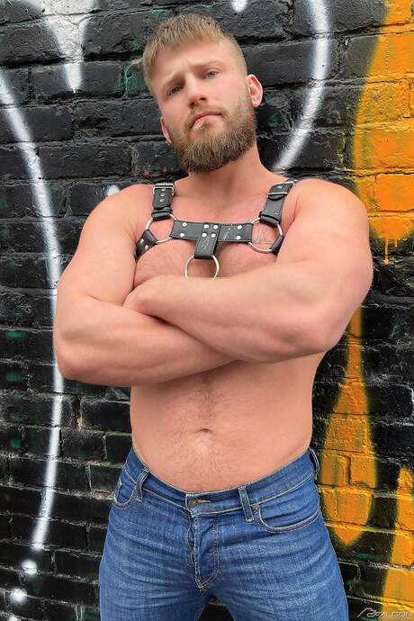 Harvey Bridgestone und der schwarze Hengst Jordan Jameson beim harten Analsex im Freien