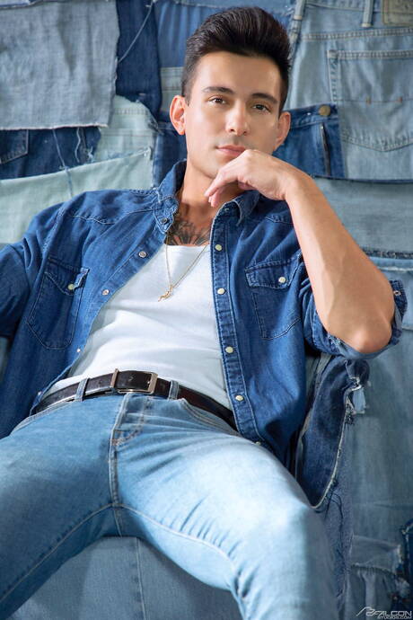 Falcon Studios: Hot american dudes hunk Ricky Roman and young Andy Adler fuck after blowjob