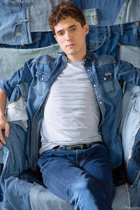 Falcon Studios: Hot american dudes hunk Ricky Roman and young Andy Adler fuck after blowjob