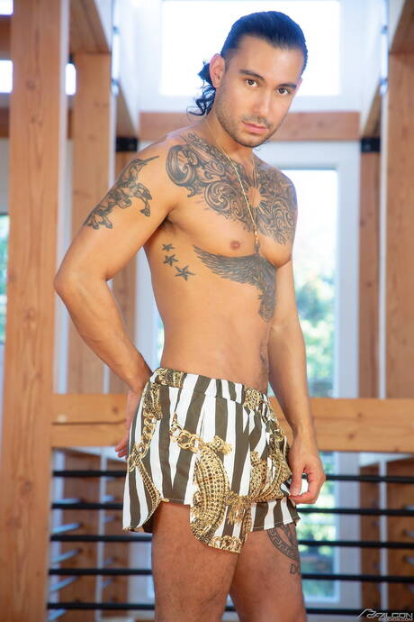 Falcon Studios: Nice american boys muscular Ricky Roman and bodybuilder Tony Genius have anal sex after beach walking