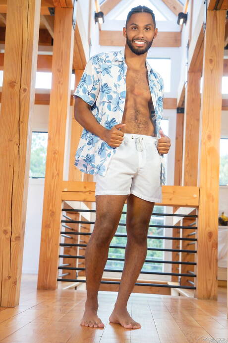 Ładni amerykańscy chłopcy, umięśnieni Ricky Roman i kulturysta Tony Genius uprawiają seks analny po spacerze po plaży