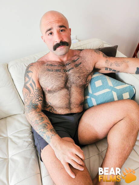 Amerykański kudłaty niedźwiedź Atlas Grant drażni swojego kutasa