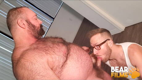 Gorący amerykańscy faceci gorący miś Joel Someone i dojrzały miś Brad Kalvo ruchają się po obciąganie