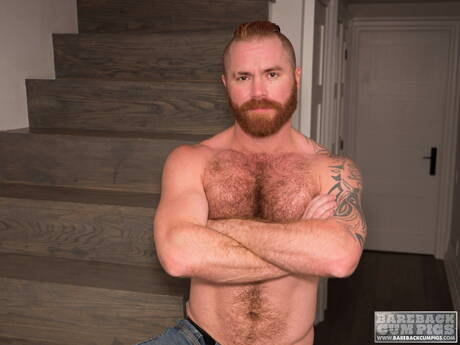 urso peludo Zack Acland exibe um corpo lindo