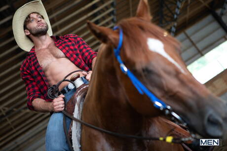 I simpatici amici americani Chuck Conrad e il culturista Tim James si sono scopati all