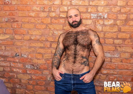 American hairy bear Atlas Grant posing naked and showing his butt