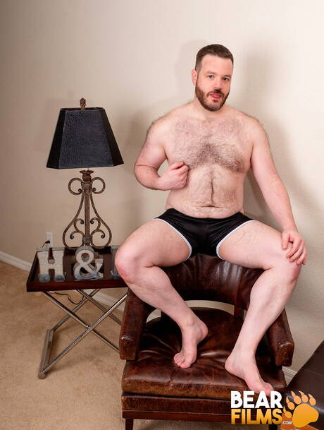 O urso peludo americano John Thomas exibe um corpo perfeito