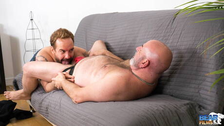 Amerikaanse harige beer Sam Black zuigt en neukt de jongen