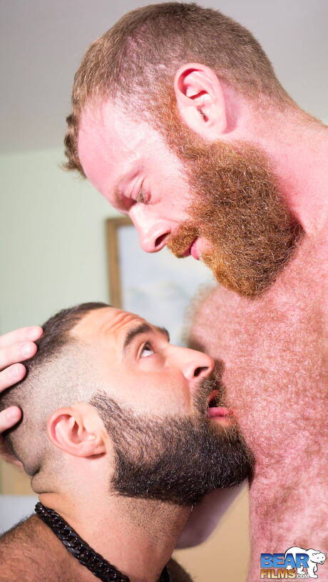 Bear Films: Two american guys otter Russell Tyler and hot bear Atlas Grant have a hot sex