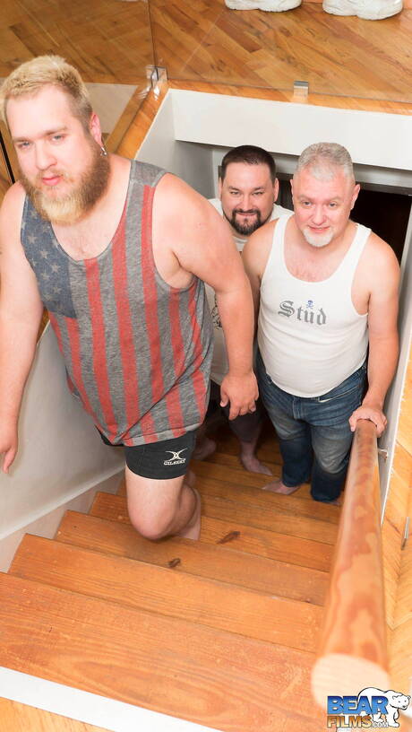 Bear Films: Hot Jack Power, Tommy Chance and Zach Wolfe in hard 3some sex