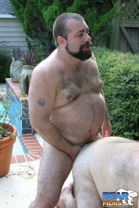 Attractive boy Cajun Bear and sexy stud Wayne Daniels have anal sex at the pool