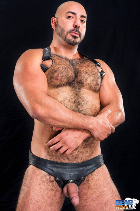 American hairy bear Amir Badri shows a perfect body
