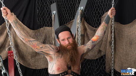 즐거움을 만끽하는 미국 곰 크리스토프 아르세놀트