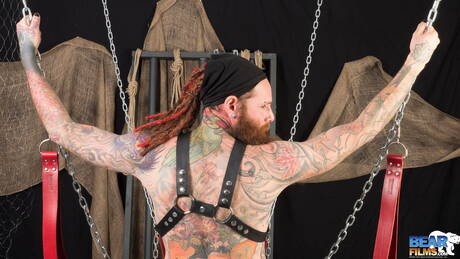 Amerykański niedźwiedź Christophe Arsenault ma przyjemność