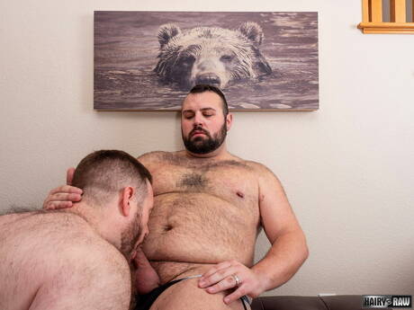 American stars mature bear John Thomas and hairy bear Rex Blue fuck ass after blowjob